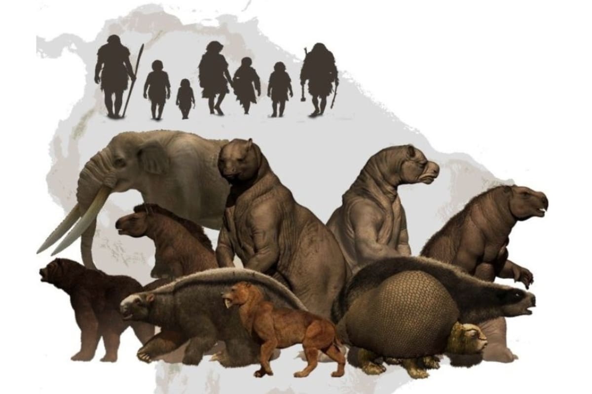 Un estudio con participación del Conicet refuerza la hipótesis de que los primeros americanos fueron cazadores de grandes presas