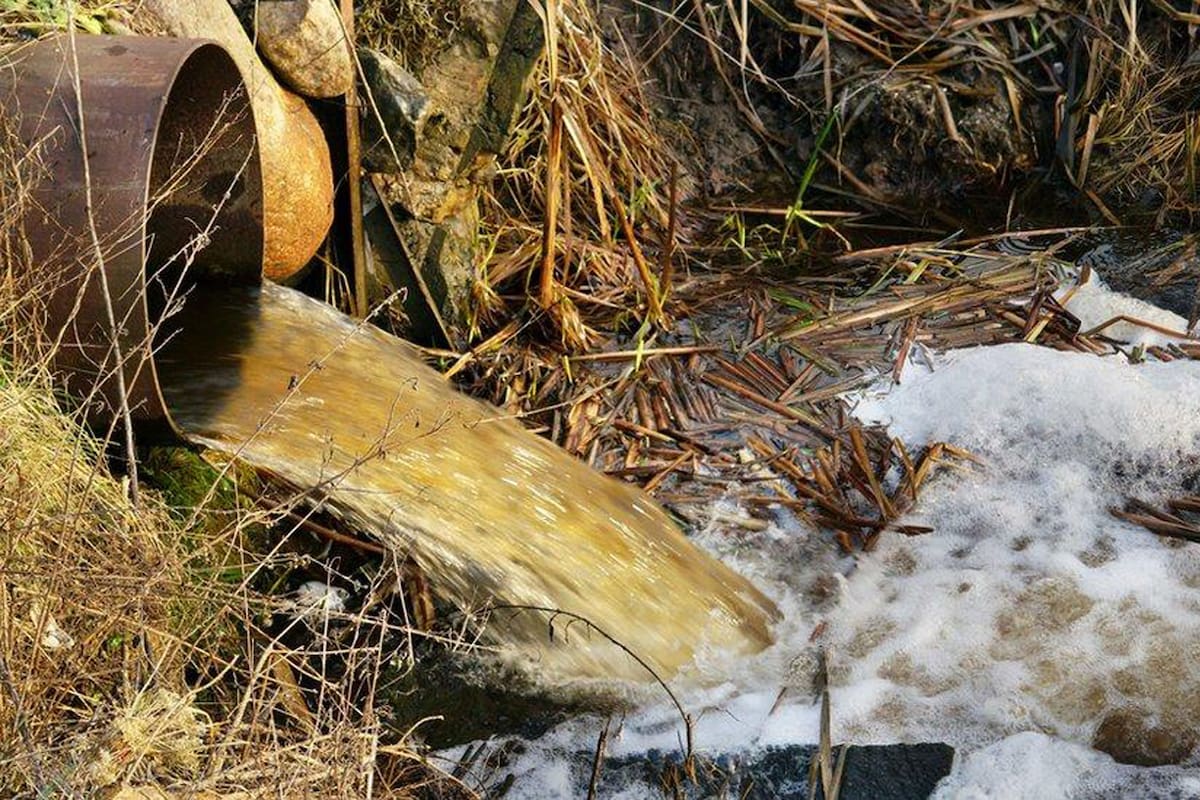 Un estudio de la Universidad de la Plata había alertado sobre la presencia de estos contaminantes