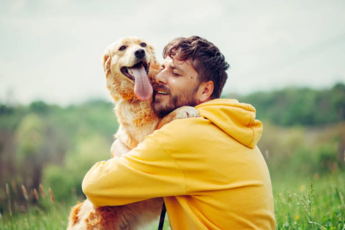 Un estudio determinó cuál es el perro más demostrativo (Foto: iStock)