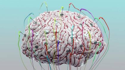Un estudio entre 19.300 personas reveló cuándo inicia el proceso de la degradación neuronal
