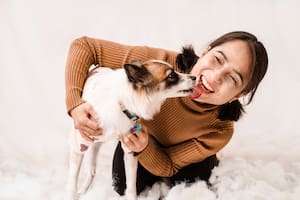 Un estudio realizado en 2022 determinó cómo las mascotas son sensibles al comportamiento humano