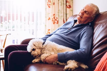 Un estudio realizado en China sobre datos británicos detectó una correlación entre la siesta y la hipertensión