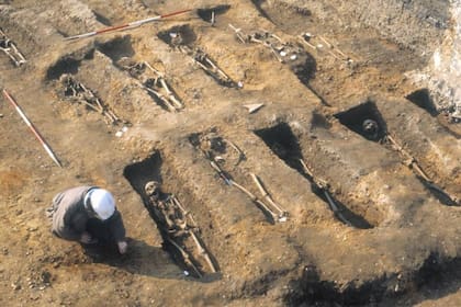 Un estudio reveló los cambios que la peste negra produjo en nuestro sistema inmune