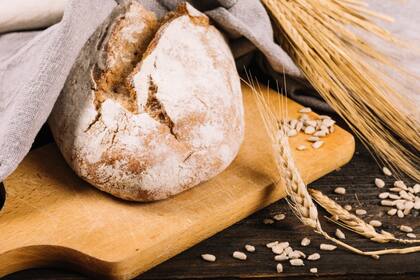 Un estudio reveló que el nivel de proteína en el trigo alcanzó un promedio del 12,5%