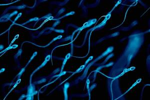 La bacteria inesperada en el semen que podría afectar las chances de tener un hijo