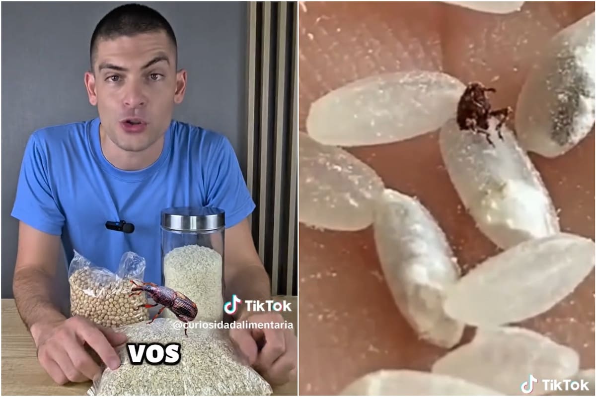 Tomás Gill, engenheiro alimentar: “O segredo para evitar turguras é guardar legumes ou farinha no congelador durante 24 horas”