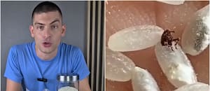 Tomás Gill, ingeniero en alimentos: “El secreto para evitar los gorgojos es guardar todo en el freezer”