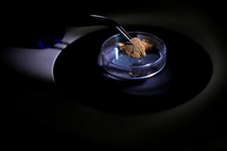 Brasil usa la ciencia forense para rastrear el origen del oro y frenar la minería ilegal en Amazonia