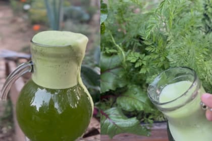 Un experto reveló el fertilizante casero considerado como el "oro verde" para las plantas