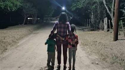 Un fallo obliga la restitución de dos niños con el padre de uno de ellos en Alemania.