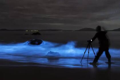 Un fotógrafo logró registrar el extraño fenómeno que se produjo en una playa australiana, denominado bioluminiscencia: cuando las olas rompen en la costa, la espuma llega a verse en tonos fluorescentes