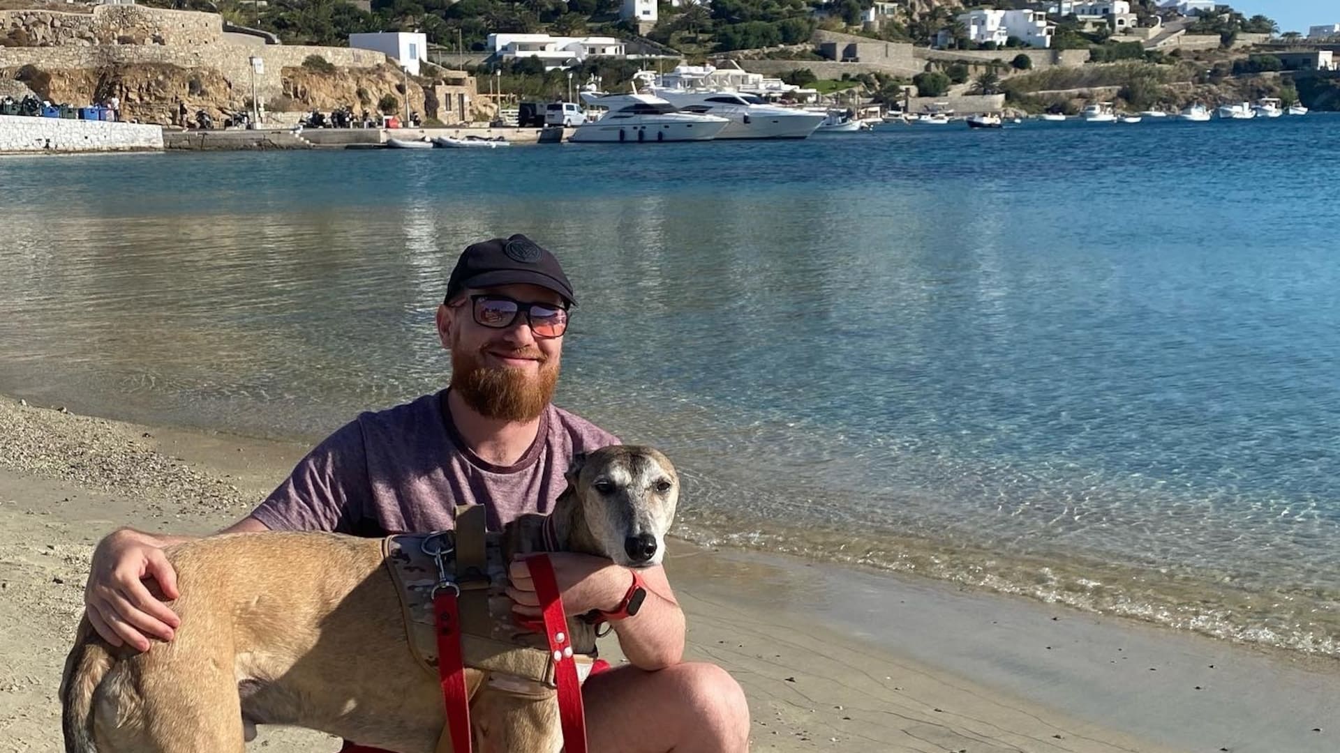 Un galgo de viaje