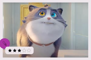 Un gato con suerte, sensible largometraje de Christopher Jenkins