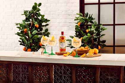 Un Gin Tonic con una vuelta de sabor.