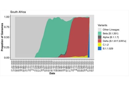 Un gráfico publicado por las autoridades sudafricanas muestra las variantes del coronavirus más dominantes en el país durante la pandemia. Después del "dominio delta" (área roja), ómicron (área azul) está ganando terreno rápidamente