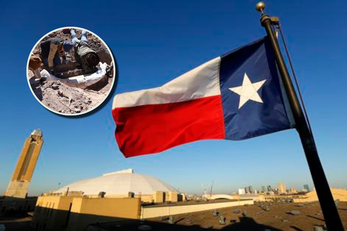 Un gran hallazgo tuvo lugar en Texas casi que de forma casual