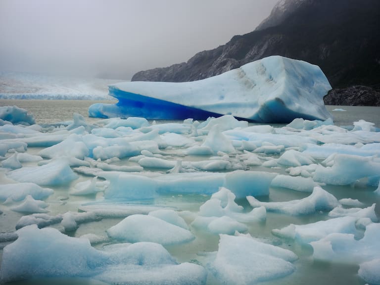 Un gran témpano desprendido del glaciar Grey, detenido en una bahía del lago homónimo