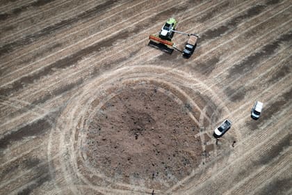 Un granjero cosecha alrededor del cráter que dejó un cohete ruso el 4 de julio de 2022, a 10 kilómetros del frente de batalla en la región de Dnipropetrovsk, Ucrania. (AP Foto/Efrem Lukatsky, Archivo)