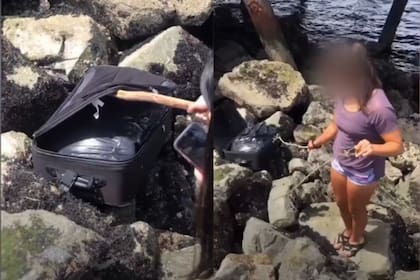 Un grupo de adolescentes encontró el maletín entre las rocas en una playa de Seattle (TikTok)