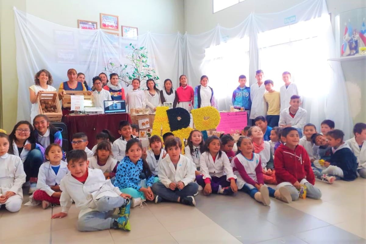 Un grupo de alumnos de Mendoza, a partir de lo que las ráfagas dejan a su paso, se pusieron manos a la obra y elaboraron un producto novedoso: leña ecológica.