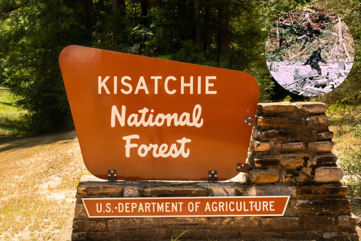 Un grupo de campistas asegura haber visto a BigFoot en un bosque en Louisiana