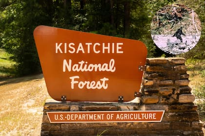 Un grupo de campistas asegura haber visto a BigFoot en un bosque en Louisiana
