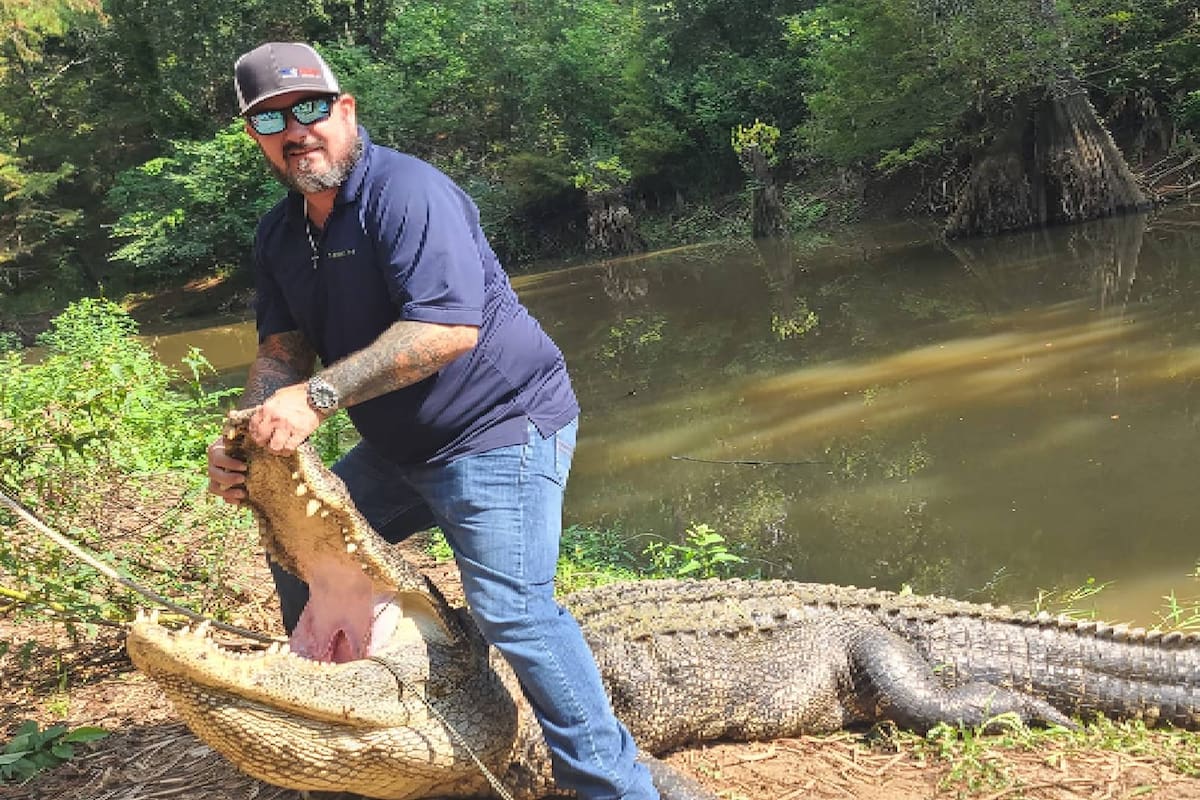 Un grupo de cazadores atraparon un enorme ejemplar de caimán en Texas