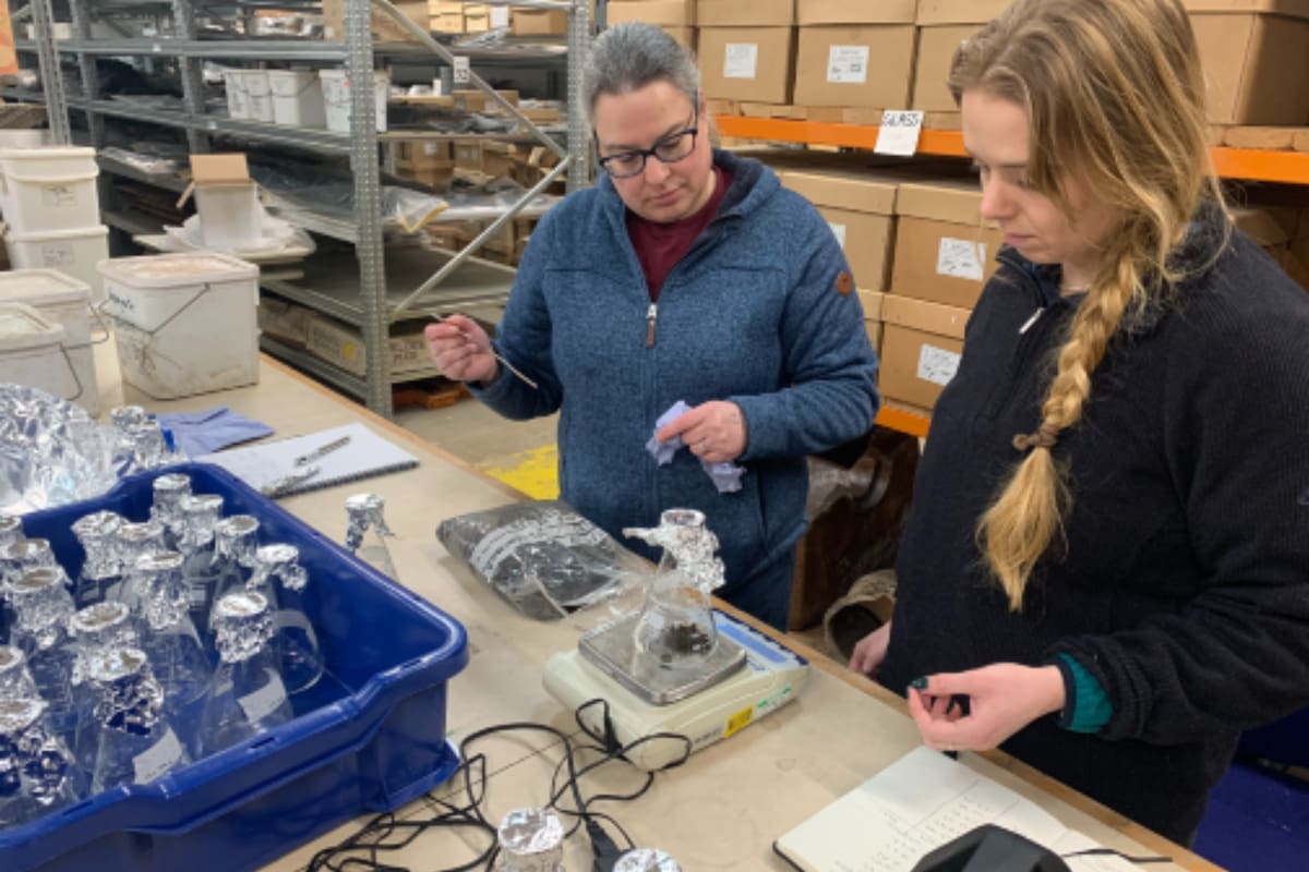 Un grupo de científicos del Reino Unido descubrió plástico en un esqueleto que se enterró en el siglo I