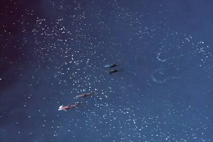 Un grupo de científicos instalados en la costa Pacífico de México obtuvo imágenes con un dron aéreo de cuatro delfines de dientes rugosos compartiendo comida y teniendo sexo para socializar