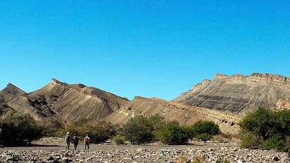 Un grupo de científicos, liderado por una investigadora de Mendoza, aporta nuevos datos sobre un fenómeno climático clave para el desarrollo de los dinosaurios.