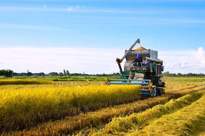 Un grupo de cinco empresas del rubro agricultura, enviaron más de 600 certificaciones laborales para tarjetas verde