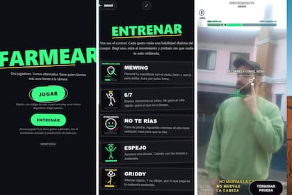 Un grupo de desarrolladores argentinos creó Farmear.lol, una plataforma gratuita y sin registro que permite competir en duelos uno contra uno utilizando la cámara de la computadora o el celular para medir el desempeño gestual -o de aura- de cada participante en tiempo real