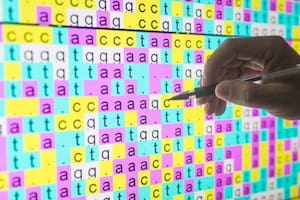 Científicos argentinos crearon un ChatGPT para leer ADN y ARN