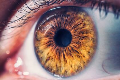 Un grupo de investigadores propone usar minúsculas celdas solares insertas en el ojo para que hagan las veces de retna y devuelvan la visión a personas ciegas