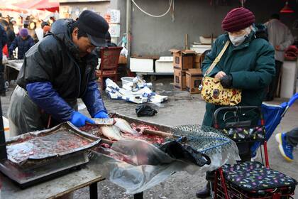 Un grupo de investigadores realizó un análisis genético para determinar el origen del coronavirus y concluyó en que podría encontrarse en murciélados o serpientes