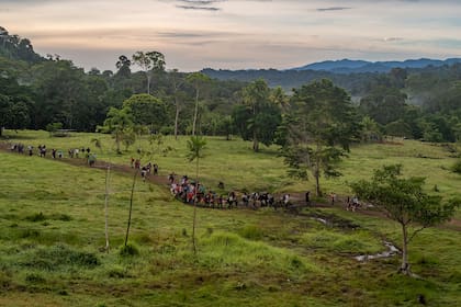 Un grupo de migrantes empieza su caminata en el Darién, la peligrosa selva entre Colombia y Panamá. (Federico Rios/The New York Times)