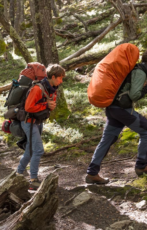 Un grupo de mochileros camina por el bosque de nothofagus desde Candelario hacia Punta Norte; son seis km y se tarda alrededor de dos horas.