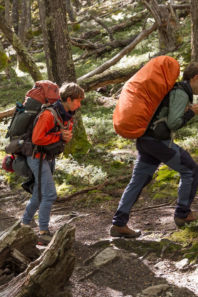 Un grupo de mochileros camina por el bosque de nothofagus desde Candelario hacia Punta Norte; son seis km y se tarda alrededor de dos horas.