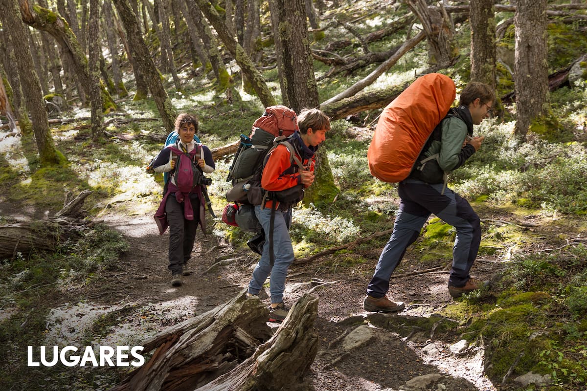 Un grupo de mochileros camina por el bosque de nothofagus desde Candelario hacia Punta Norte; son seis km y se tarda alrededor de dos horas.