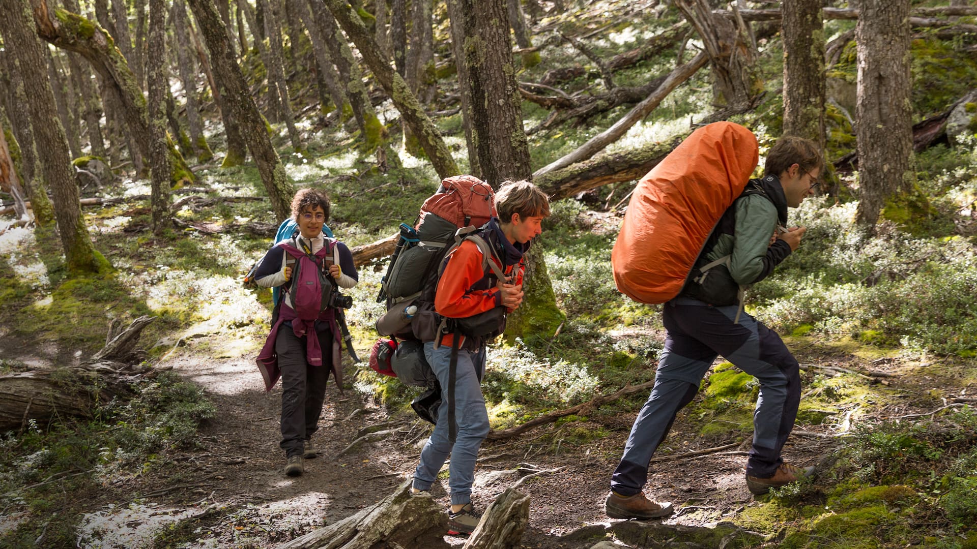 Un grupo de mochileros camina por el bosque de nothofagus desde Candelario hacia Punta Norte; son seis km y se tarda alrededor de dos horas.
