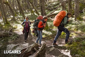 Un grupo de mochileros camina por el bosque de nothofagus desde Candelario hacia Punta Norte; son seis km y se tarda alrededor de dos horas.