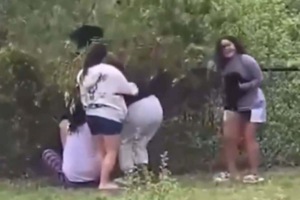 Un grupo de personas sacó a pequeños ositos de su hábitat para tomarse fotos