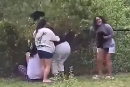 Un grupo de personas sacó a pequeños ositos de su hábitat para tomarse fotos