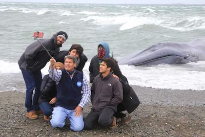 Un grupo de personas se toma selfies con el cuerpo de la ballena