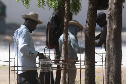 Un grupo de personas trabaja en terrenos de la sede del grupo Ministerios Cristianos de Ayuda en Titanyen, al norte de Puerto Príncipe, Haití, el lunes 22 de noviembre de 2021. (AP Foto/Odelyn Joseph)