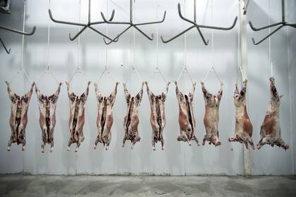 Según la investigadora, la diferencia entre la cría ovina intensiva a uno extensivo radica “en la productividad, en la calidad del producto, en la extensión, en la duración del sistema productivo y en la rentabilidad, en el recupero del capital invertido”