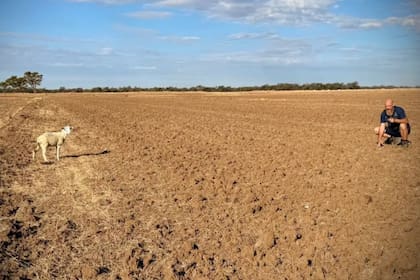 Un grupo de rescatistas le salvó la vida a una oveja