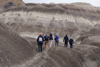 Un grupo de turistas comienza la caminata en el Bosque Petrificado La Leona, rodeado de las formaciones montañosas conocidas como Badlands