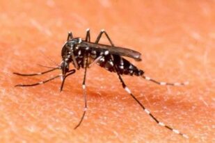 Un grupo de universitarios colombianos creó un dispositivo ecológico para eliminar a mosquitos como el 'Aedes Aegypti', considerado el principal transmisor de los virus que producen enfermedades como el zika, dengue o el chikungunya SOCIEDAD SUDAMÉRICA COLOMBIA CULTURA TWITTER/ UNIDAD POSADEÑA