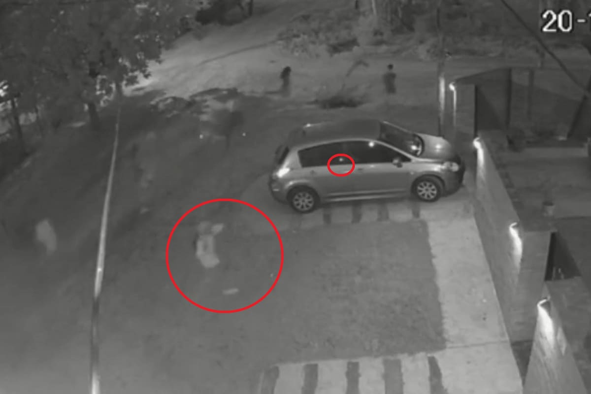 Un grupo de unos 20 jóvenes causaron destrozos en un barrio de City Bell